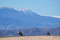 cadwell-no-limits-trackday;cadwell-park;cadwell-park-photographs;cadwell-trackday-photographs;enduro-digital-images;event-digital-images;eventdigitalimages;no-limits-trackdays;peter-wileman-photography;racing-digital-images;trackday-digital-images;trackday-photos